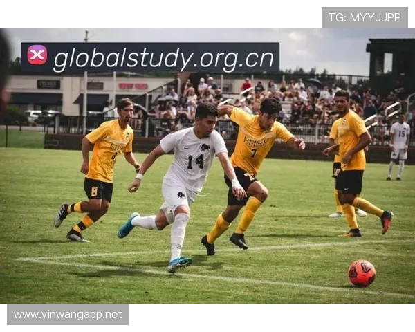 ✅体育直播🏆世界杯直播🏀NBA直播⚽- 宁夏银川:房地产在售项目来访量、成交量环比增长48%、66%- sports ✅体育直播🏆世界杯直播🏀NBA直播⚽- 宁夏银川:房地产在售项目来访量、成交量环比增长48%、66%- sports